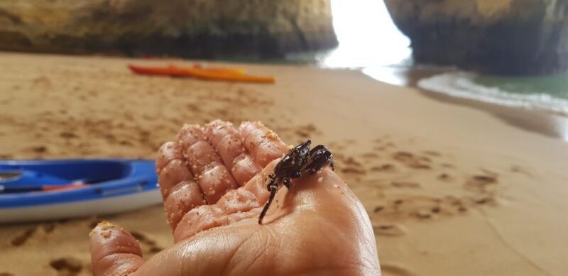 Algarve: Benagil Cave Sunrise Kayak Tour with Shower Use - Final Thoughts