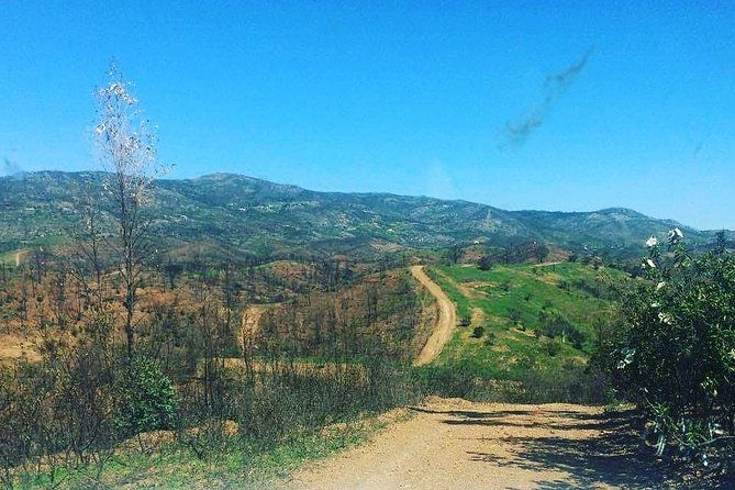 algarve-charms-7-hours-barrocal-or-serra-de-monchique