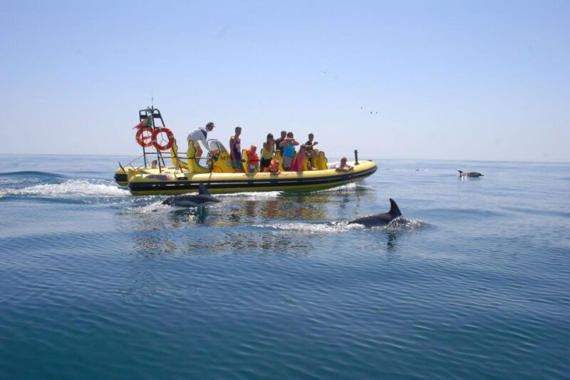 algarve-coast-dolphin-watching-cave-tour