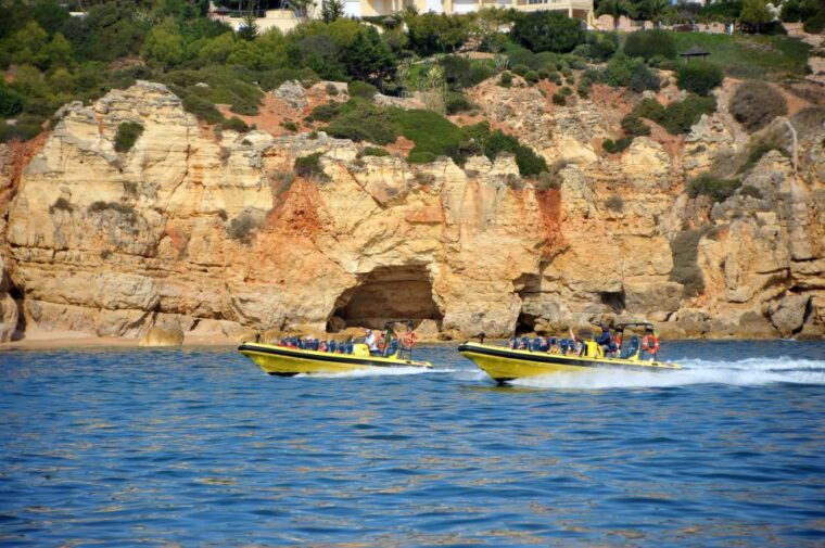 algarve-coast-dolphin-watching-cave-tour