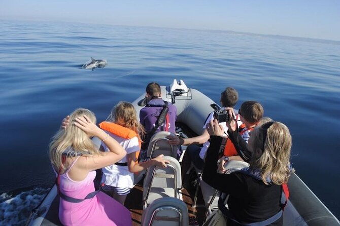 algarve-dolphin-watching-marine-life-eco-tour-2