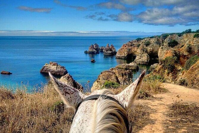 Algarve - Exclusive horseriding in Portimao (no experience required) - What makes this tour stand out?
