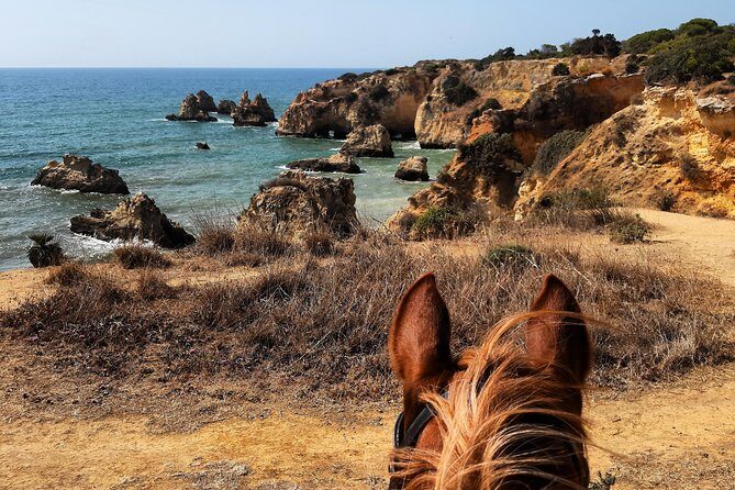 Algarve - Exclusive horseriding in Portimao (no experience required) - Pricing, Duration, and Practical Details