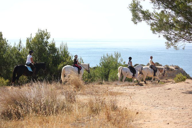 Algarve - Exclusive horseriding in Portimao (no experience required) - The Sum Up