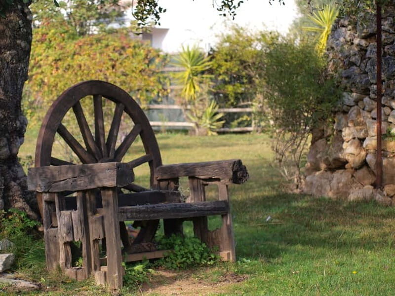 Algarve: Flavors and Traditions Tour - What You Can Expect During the Tour