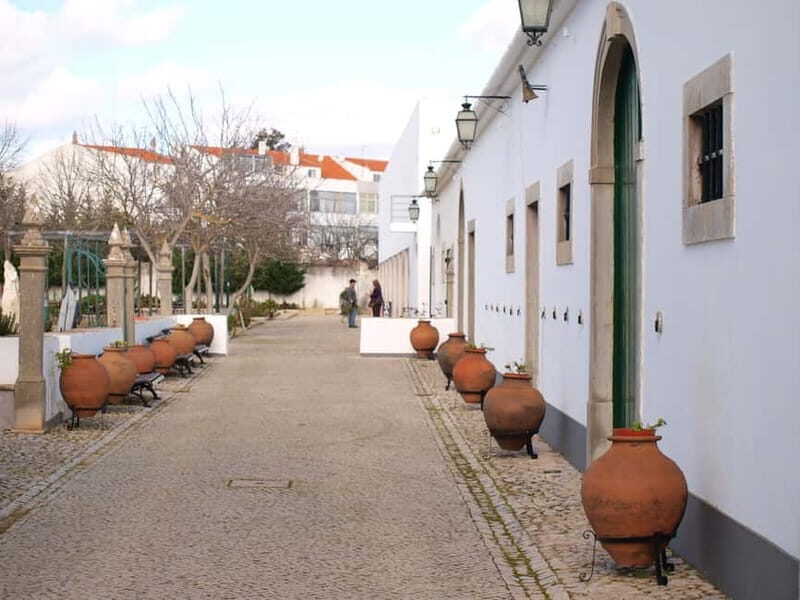 Algarve: Flavors and Traditions Tour - Who Will Love This Tour?