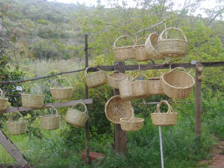 algarve-flavors-and-traditions-tour