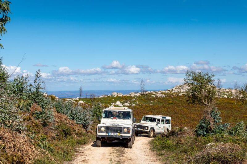 algarve-full-day-guided-sightseeing-tour-with-lunch
