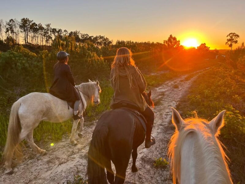 algarve-horseriding-tour-in-the-countryside-of-aljezur-rogil