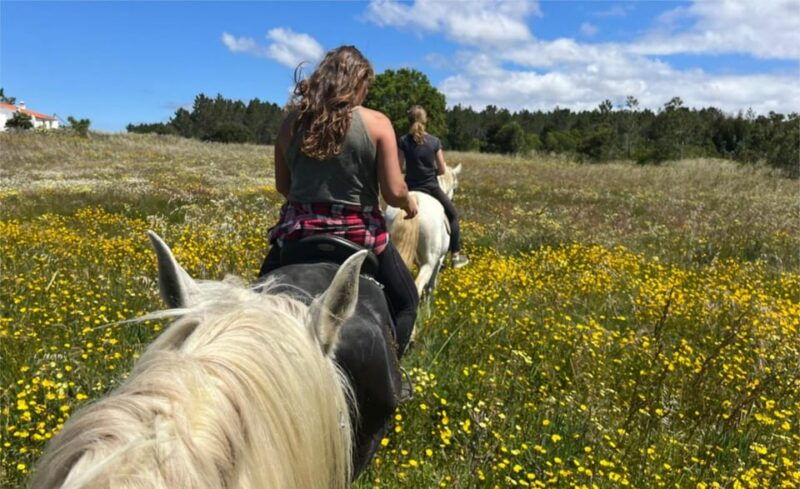 algarve-horseriding-tour-in-the-countryside-of-aljezur-rogil