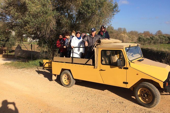 Algarve Jeep Safari - Day Trip - A Closer Look at the Itinerary: What to Expect