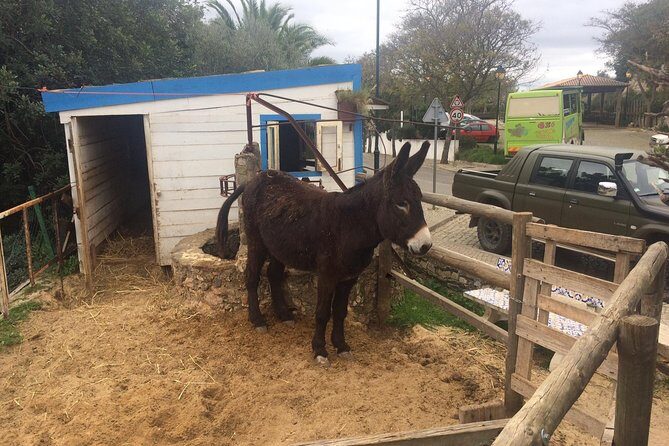 Algarve Jeep Safari - Day Trip - Deep Dive into the Value