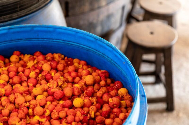 algarve-jeep-safari-with-distillery-visit-lunch