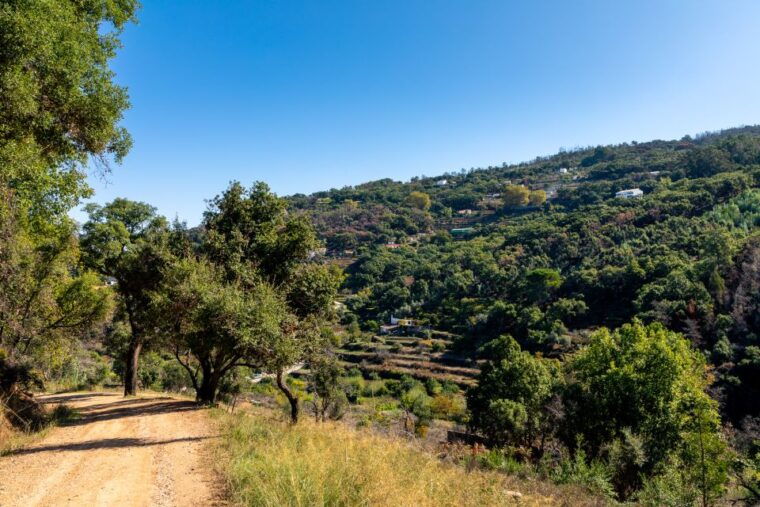 algarve-jeep-safari-with-distillery-visit-lunch