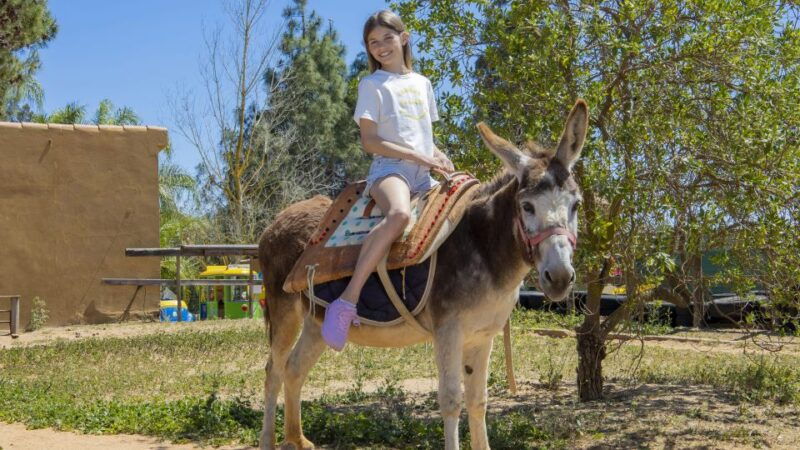 algarve-krazy-world-interactive-park-entry-ticket