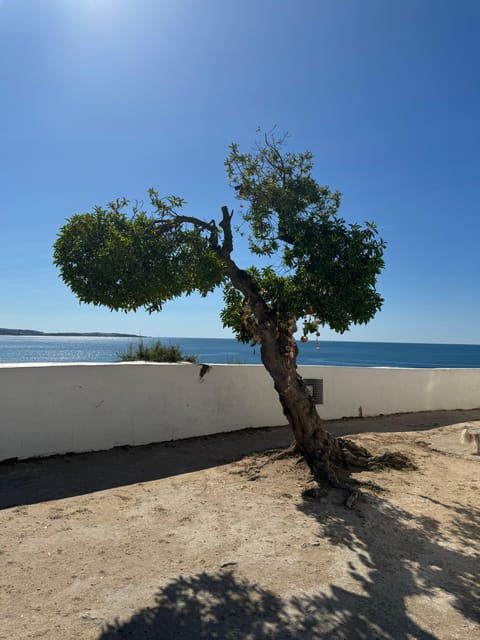 algarve-lisbon-v-i-p-womens-road-trip-with-female-guide
