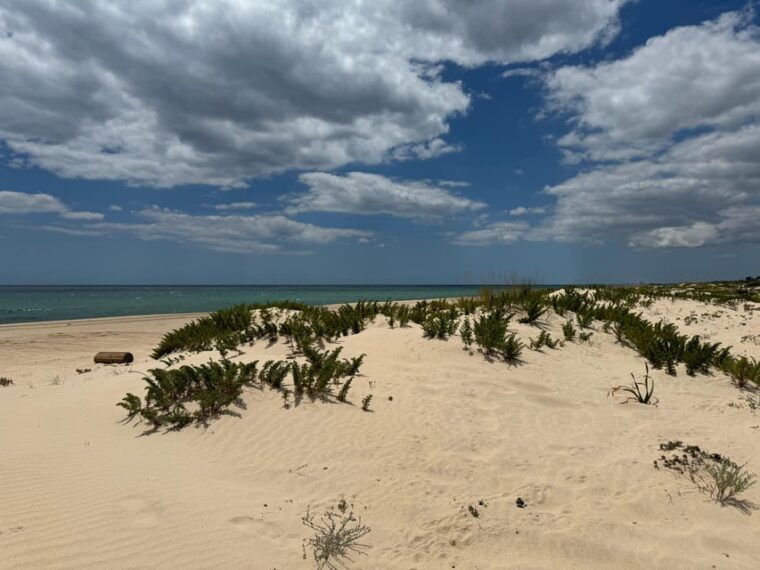 algarve-lisbon-v-i-p-womens-road-trip-with-female-guide
