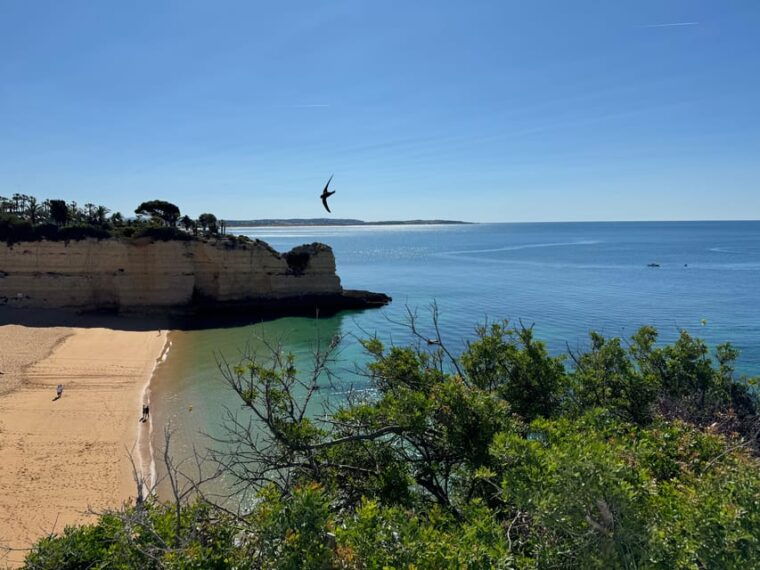 algarve-lisbon-v-i-p-womens-road-trip-with-female-guide