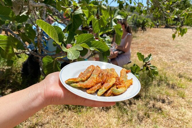 algarve-mountais-tour-with-lunch-in-the-vineyard