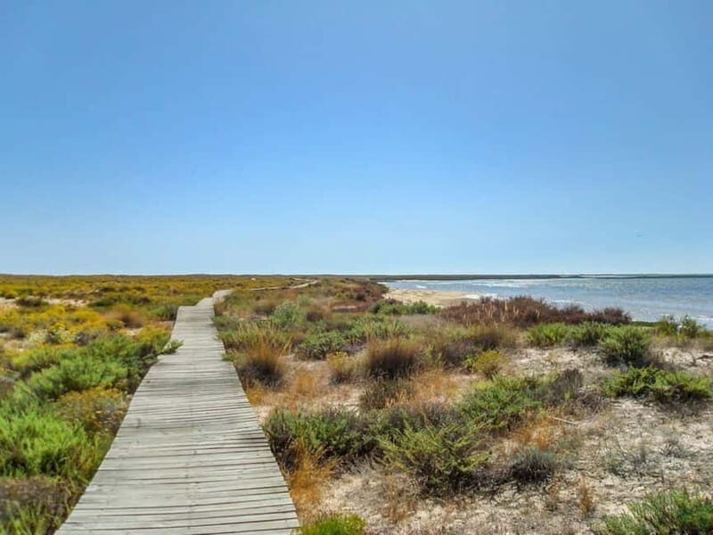 Algarve: Olhão Highlights Tour and Ria Formosa Boat Trip - An In-Depth Look at the Algarve: Olhão Highlights Tour