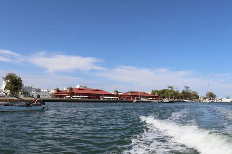 Algarve: Olive Oil, Market, and Ria Formosa Boat Tour - A Well-Rounded Algarve Day: What to Expect  