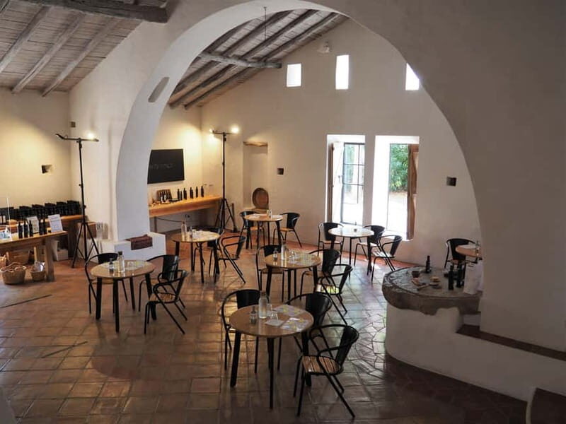 Algarve: Olive Oil, Market, and Ria Formosa Boat Tour - Who This Tour Is Best Suited For  
