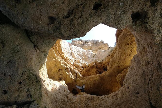 Algarve Private Tour from Lisbon - An In-Depth Review of the Algarve Private Tour from Lisbon