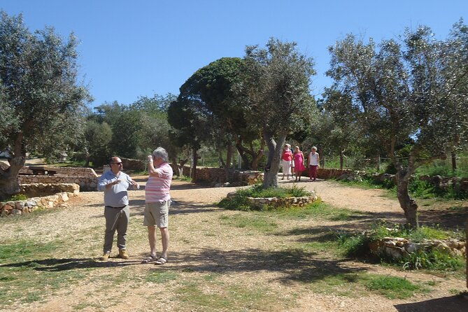 algarve-private-tour-with-typical-lunch