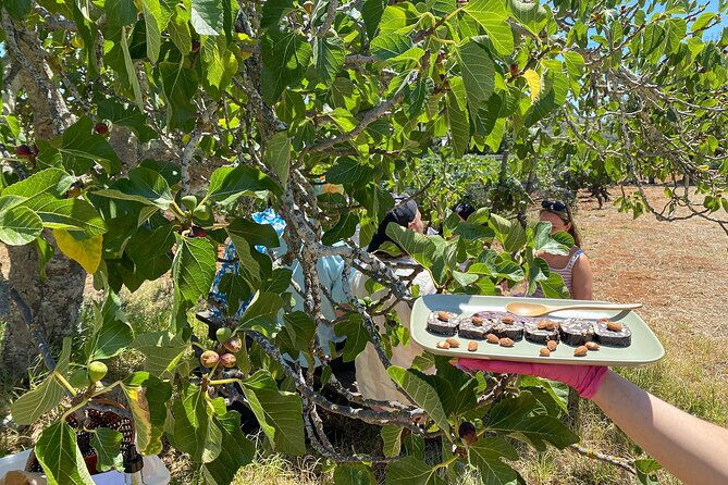 algarve-romantic-vineyard-picnic-in-carvoeiro