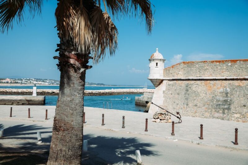 Algarve: Silves, Lagos and Cape St. Vincent in French - Who Would Love This Tour?