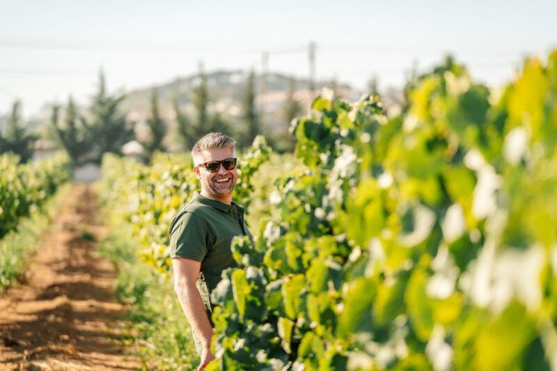 algarve-vineyard-tour-premium-wine-tasting-in-silves
