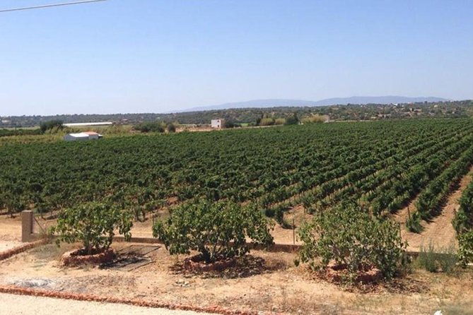 algarve-wine-tour-and-mountain-top-trip-with-lunch-or-dinner-at-sunset-time