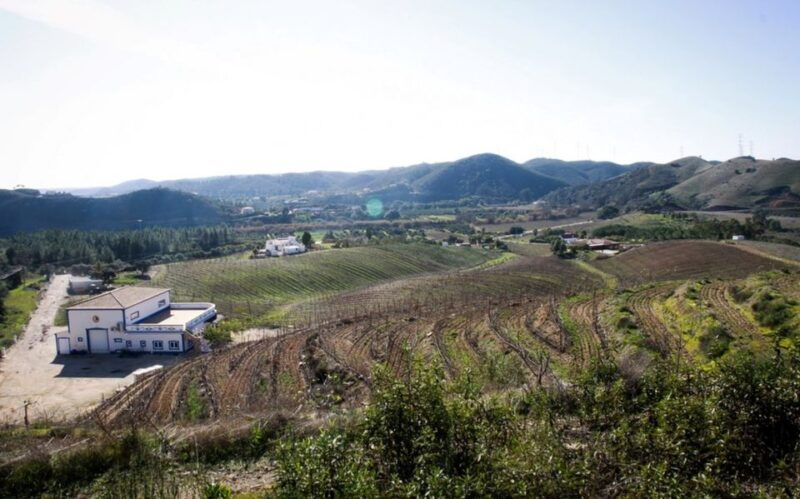 algarve-wine-tour-and-mountain-top-trip-with-lunch-or-dinner