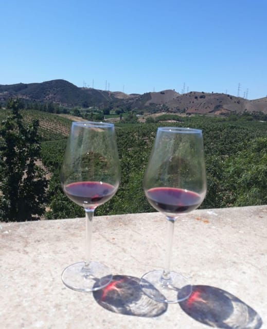 algarve-wine-tour-of-two-estates-guided-by-wine-expert