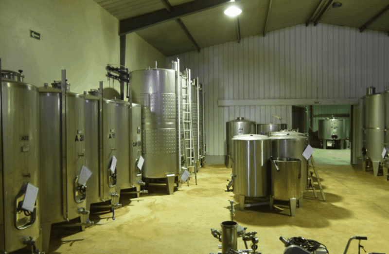 algarve-wine-tour-of-two-estates-guided-by-wine-expert