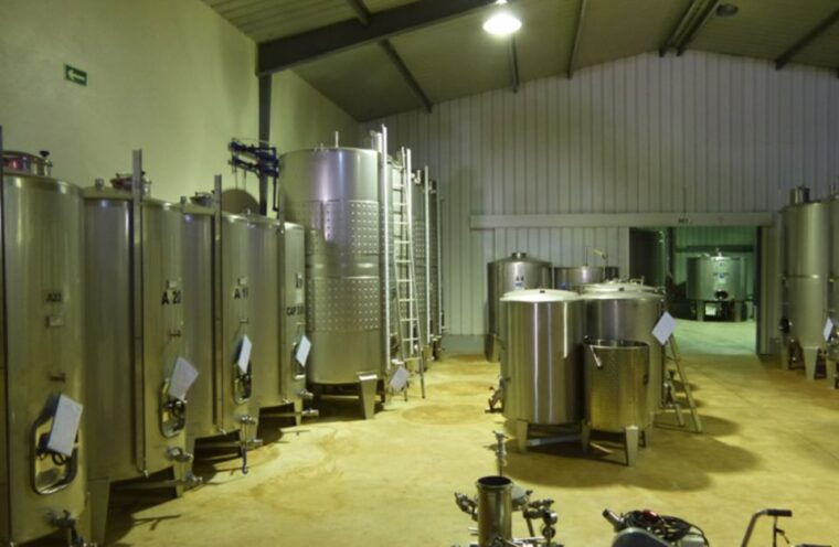 algarve-wine-tour-of-two-estates-guided-by-wine-expert