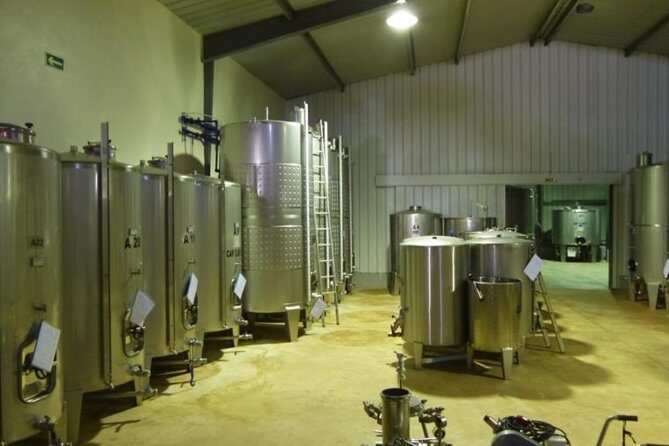 Algarve Wine Tour of Two Wine Estates - Authentic Experiences and Tips from Reviewers