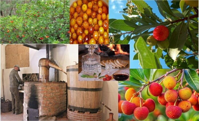 algarves-arbutus-berry-trail