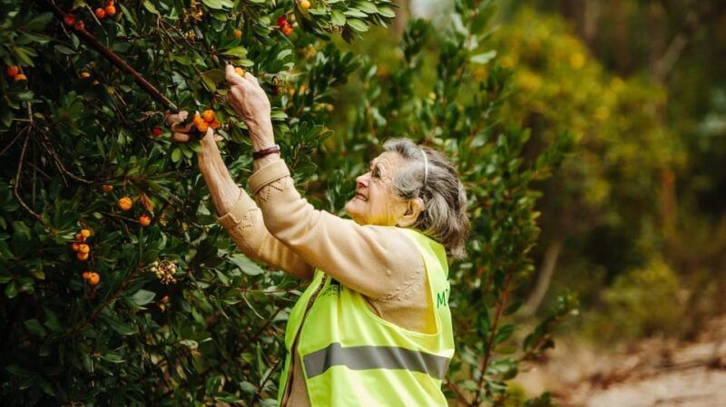 algarves-arbutus-berry-trail