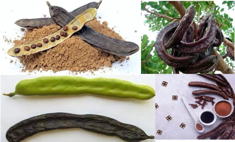 algarves-carob-trail