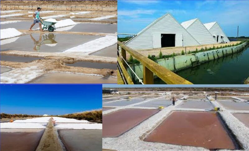 algarves-salt-trail