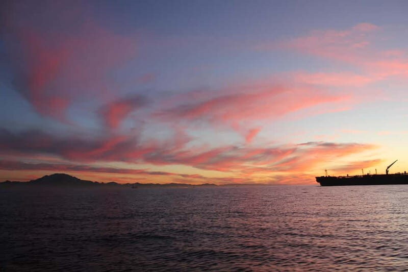 Algeciras: Dolphin and whale watching in reduced groups - FAQ