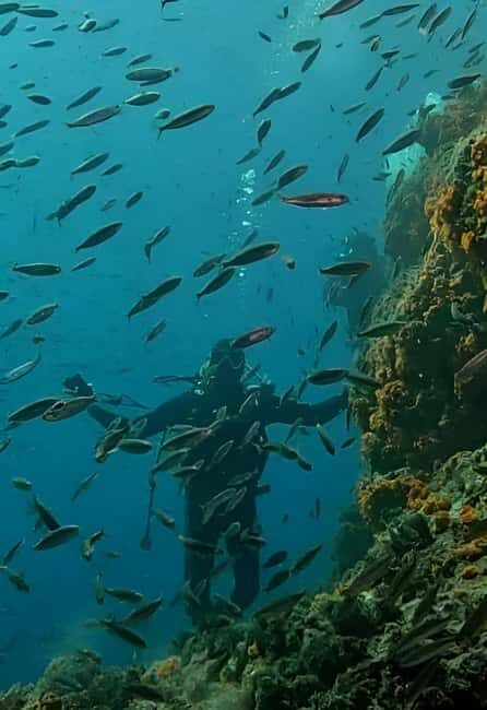 Algeria Daytour : Snorkeling & Horse Riding with lunch - Exploring the Itinerary in Detail