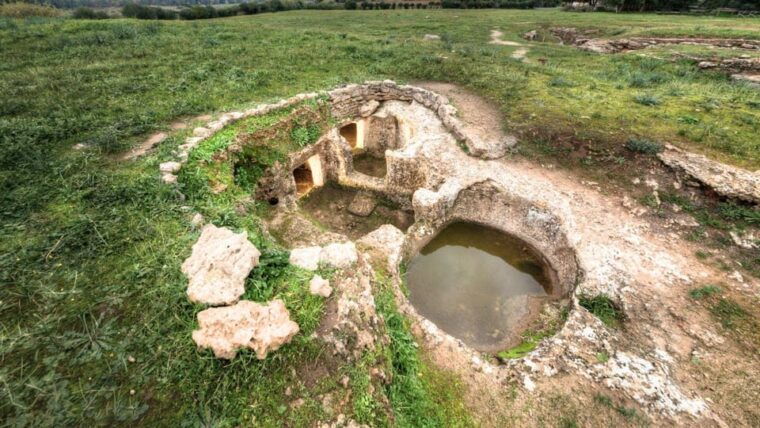 alghero-anghelu-ruju-necropolis-with-audio-guides