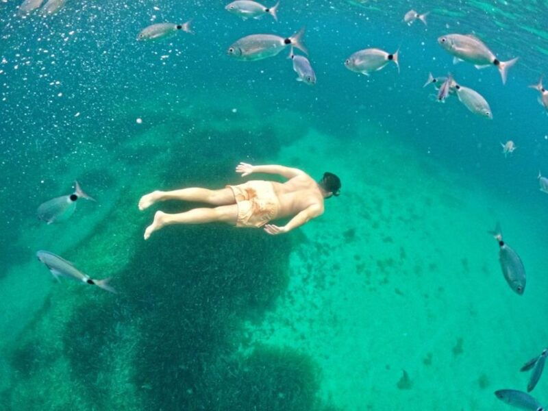 alghero-boat-tour-with-snorkeling-in-porto-conte