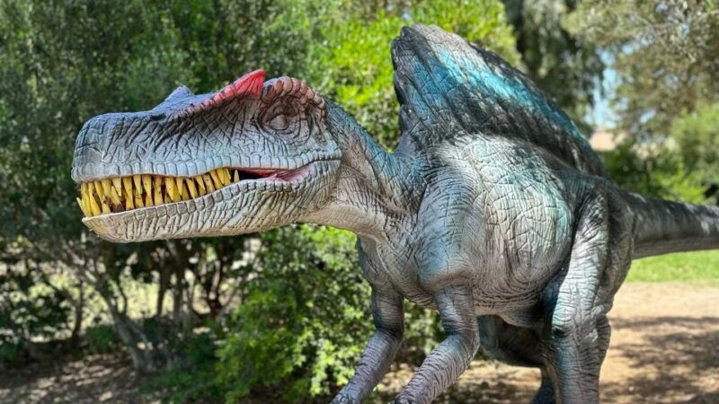 alghero-discover-dinosaurs-in-porto-conte-park