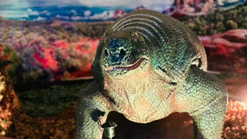 alghero-discover-dinosaurs-in-porto-conte-park