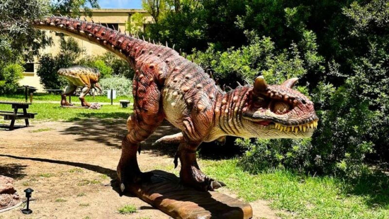 alghero-discover-dinosaurs-in-porto-conte-park