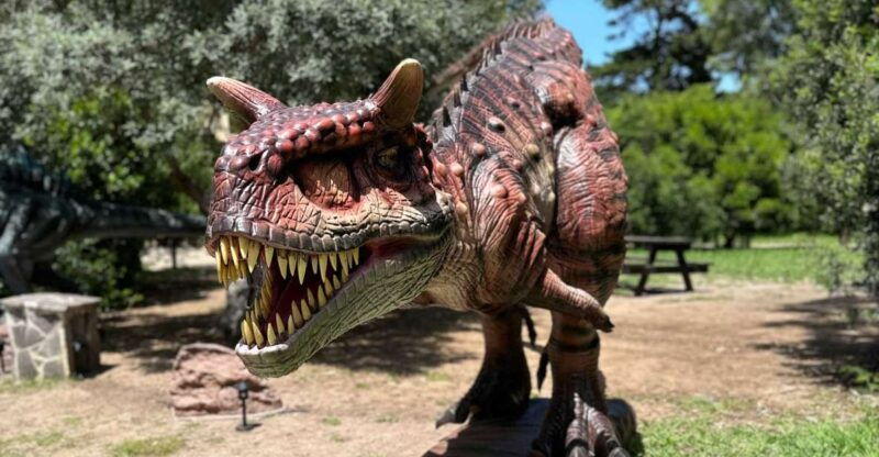 alghero-discover-dinosaurs-in-porto-conte-park