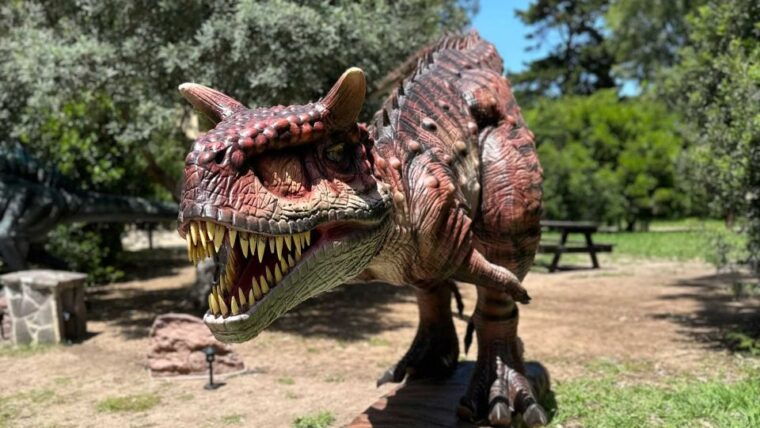 alghero-discover-dinosaurs-in-porto-conte-park